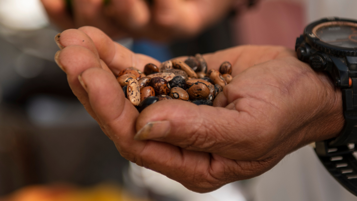 Hand mit Bohnen aus Projektkontext Kolumbien zur Fastenaktion 2024